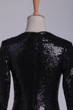 2024 Prom Dresses V Neck Long Sleeves Sequins Sweep Train Black