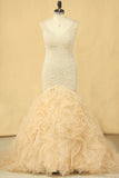 2024 Mermaid Wedding Dresses V-Neck Tulle See-Through Back Chapel Train Plus PAPK5FP6