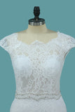 2024 Lace Wedding Dresses Scoop With Beaded Waistline Covered Button PGQENLBN