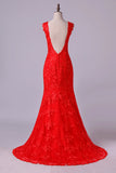 2024 V-Neck Tulle Evening Dresses Mermaid PR83YGN9