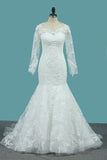 2024 Tulle Long Sleeves Mermaid Wedding Dresses With Applique P4KD7MM9