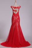 2024 Sweep Train Bateau Tulle With Applique Mermaid Evening Dresses