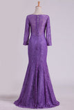 2024 Purple Mother Of The Bride Dresses V Neck 3/4 Length Sleeve Mermaid Lace Floor Length