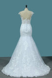 2024 Scoop Open Back Lace Wedding Dresses P18D6JXG