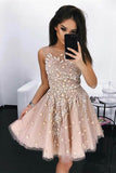 Modest A-Line Round Neck Short Blush Beads Unique Illusion Pleats Homecoming Dresses