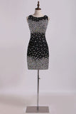 2024 Homecoming Dress Scoop Sheath/Column With Rhinestone PBRNSLBB