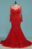 2024 Prom Dresses Mermaid/Trumpet Tulle Bateau Court Train With Applique PLBSQD3R