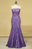 2024 Purple Strapless Prom Dresses Mermaid Floor Length With Trumpet PB41Z1S8