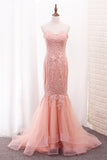 2024 Tulle Prom Dresses Mermaid Sweetheart With PPL9MMDC