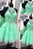 2024 A Line Homecoming Dresses Halter Beaded Bodice Short/Mini Tulle PYXLQ2AB