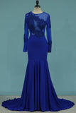 2024 Mermaid Blue Prom Dress Long Sleeves