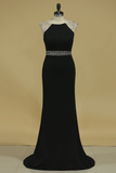 2024 Prom Dresses Scoop With Beading Spandex Sheath Sweep Train