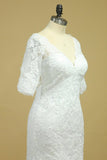 2024 Mermaid Wedding Dresses V-Neck 3/4 Sleeves Court Train Tulle V-Back With Covered PG4GMBTB