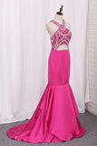 2024 Prom Dresses Mermaid V Neck Beaded Bodice PLTFBR4N