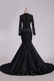 2024 Evening Dresses Scoop Long Sleeve With Applique Mermaid Elastic PGJADXJB