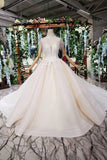 2024 Wedding Dresses Royal Train High Neck Short Sleeves Lace PN7X7BCL