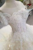 2024 Luxurious Wedding Dresses Tulle Lace Up With Beads Sequins Appliques PHE1RXDD