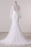 2024 Wedding Dresses Scoop Long Sleeves Open Back Lace P9MM1Y4C