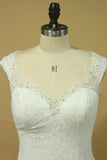 2024 Lace Wedding Dresses Sheath V-Neck Court Train Beaded P5JJ3G9M