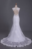 2024 Straps Wedding Dresses Mermaid/Trumpet With Applique Tulle Court Train P5B4Z5D2