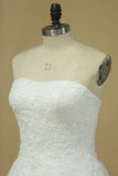 2024 New Arrival Scalloped Neck Wedding Dresses PRFCT9CY