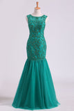 2024 Scoop Beaded Bodice Prom Dresses Mermaid Tulle Floor Length