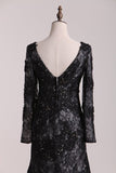 2024 Mother Of The Bride Dresses V Neck Long Sleeves Lace With P4EKY764