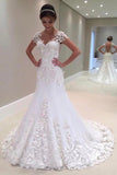 2024 New Arrival Mermaid/Trumpet V-Neck Tulle Wedding Dresses With Applique P9623872