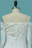 2024 Lace Mermaid Boat Neck 3/4 Length Sleeves Wedding Dresses PMFGPRR6