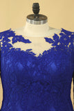 2024 Plus Size Mother Of The Bride Dresses Scoop 3/4 Length Sleeve Lace With Applique Dark Royal PGB7RQ6T