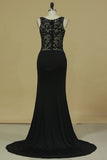 2024 Prom Dresses Sheath/Column Spaghetti Straps With Beading And Applique Spandex P6XHLCEK