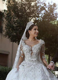 Sexy Ball Gown Sweetheart Long Sleeve Lace Appliques Tulle Long Wedding Dresses