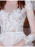 Long A-Line Long Sleeve Tulle Lace Plus Size Princess Elegant Wedding Dress