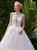 New Style A-line Scoop Neck Tulle Appliques Lace Court Train Backless Wedding Dress