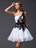 A-Line/Princess One-Shoulder Sleeveless Lace Short Organza Homecoming Dresses TPP0008098