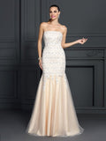 Trumpet/Mermaid Strapless Lace Sleeveless Long Satin Dresses TPP0004012