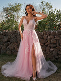 A-Line/Princess Tulle Applique V-neck Sleeveless Sweep/Brush Train Dresses TPP0001430