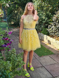 A-Line/Princess Sleeveless Halter Tulle Applique Short/Mini Homecoming Dresses TPP0004828