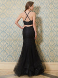 Trumpet/Mermaid Spaghetti Straps Sleeveless Applique Floor-Length Tulle Two Piece Dresses TPP0002355