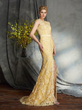 Trumpet/Mermaid Scoop Lace Sleeveless Long Lace Mother of the Bride Dresses TPP0007156