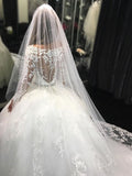 Ball Gown Scoop Long Sleeves Lace Cathedral Train Applique Tulle Wedding Dresses TPP0006293