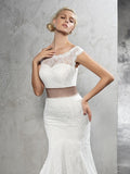 Sheath/Column Sheer Neck Sash/Ribbon/Belt Sleeveless Long Lace Wedding Dresses TPP0006482