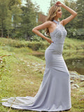 Sheath/Column Stretch Crepe Lace Halter Sleeveless Sweep/Brush Train Bridesmaid Dresses TPP0004957