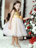 A-Line/Princess Organza Sequin Scoop Sleeveless Tea-Length Flower Girl Dresses TPP0007551