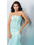 Trumpet/Mermaid Strapless Applique Sleeveless Long Lace Dresses TPP0003098