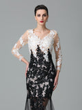 Sheath/Column V-neck Lace 3/4 Sleeves Long Net Dresses TPP0002992