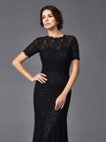 Sheath/Column Jewel Lace Short Sleeves Long Elastic Woven Satin Mother of the Bride Dresses TPP0007142