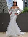 Trumpet/Mermaid Tulle Applique Off-the-Shoulder Long Sleeves Sweep/Brush Train Wedding Dresses TPP0006069