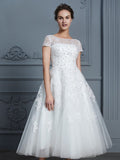 A-Line/Princess Scoop Short Sleeves Tea-Length Beading Tulle Wedding Dresses TPP0006474