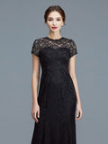 Trumpet/Mermaid Scoop Short Sleeves Lace Floor-Length Mother of the Bride Dresses TPP0007311